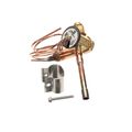 Product Image of R410a Thermal Expansion Valve, 1186999