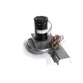 Product Image of Inducer Motor Assembly 230v, 1188243