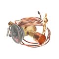 Product Image of Thermal Expansion Valve, 1190675