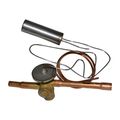 Product Image of Thermal Expansion Valve, 1191181