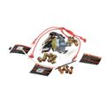 Product Image of Nat Gas to LP Conversion Kit, 1192345