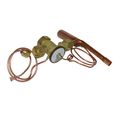 Product Image of Thermal Expansion Valve Kit, 1193644