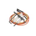 Product Image of Igniter/flame Sensor Combo, 1196883