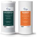 Product Image of 10" x 4.5" Replacement Sediment & Lead-Removal Filter for WGB21B-CPB Whole House Water System