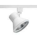 Product Image of Trac-Lites Line-Voltage PAR30 Spotlight (White), R552WH