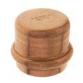 Product Image of 2-1/2" Press Copper Cap
