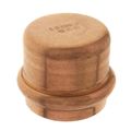Product Image of 4" Press Copper Cap
