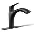 Product Image of Rival 1-Handle Pull Out Kitchen Faucet (Matte Black), K-30468-BL