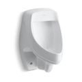Product Image of Dexter Siphon-Jet Half-Stall Rear Spud Urinal, 0.5 - 1.0 gpf (White), K-5016-ER-0