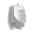 Product Image of Dexter Siphon-Jet Top Spud Antimicrobial Urinial, 0.5/1.0 gpf (White), K-5016-ETSS-0