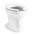 Product Image of Wellcomme Ultra Floor-Mount Rear Spud Flushometer Bowl (White), K-96054-0