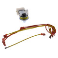 Product Image of NG to LP Conversion Kit, KGANP4601ALL