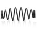 Product Image of Spare Barrel Spring for 95 31 250/280