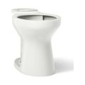 Product Image of Elongated Toilet Bowl (Dune), K-31588-NY