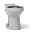 Product Image of Round-Front Toilet Bowl (Ice Grey), K-31589-95