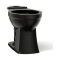 Product Image of Elongated Toilet Bowl (Black/Black), K-32809-7