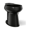 Product Image of Elongated Toilet Bowl (Black/Black), K-4373-7