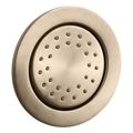 Product Image of Watertile Round 27-Nozzle Single-Function Body Spray, 1.0 Gpm (Vibrant Brushed Bronze), K-77119-BV