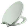 Product Image of Reveal Quiet-Close Elongated Toilet Seat (Aspen Green), K-4008-42