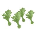 Product Image of Artifacts Ball-And-Claw Feet (Fresh Green), K-204-34
