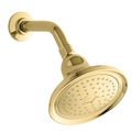 Product Image of Devonshire Single-Fctn Katalyst Showerhead (Vibrant Polished Brass), K-10391-AK-PB