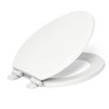 Product Image of Ridgewood Quiet-close Elongated Toilet Seat (White), K-20454-0