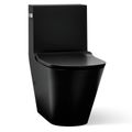 Product Image of Brazn One-piece Compact Elongated Toilet w/ Skirted Trapway, Dual-flush (Honed Black), K-22378-HB1