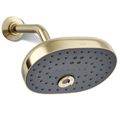 Product Image of Statement 3-Function Shower Head, 1.75 GPM (Vibrant French Gold), K-26290-G-AF