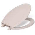 Product Image of Lustra Quick-release Elongated Toilet Seat (Wild Rose), K-4652-45