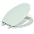 Product Image of Lustra Quick-release Elongated Toilet Seat (Seafoam Green), K-4652-71