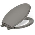 Product Image of Glenbury Readylatch Quiet-close Elongated Toilet Seat (Cashmere), K-4733-RL-K4