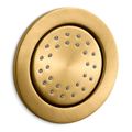 Product Image of WaterTile Round 27-nozzle 1-Function Body Spray, 2.0 GPM (Vibrant Brushed Moderne Brass), K-8013-AK-2MB