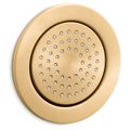 Product Image of WaterTile Round 54-nozzle 1-Function Body Spray, 2.0 GPM (Vibrant Brushed Moderne Brass), K-8014-2MB