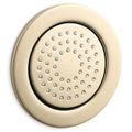 Product Image of WaterTile Round 54-nozzle 1-Function Body Spray, 2.0 GPM (Vibrant French Gold), K-8014-AF