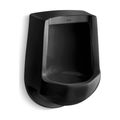 Product Image of Siphon-Jet Half-Stall 1.0 Gpf Urinal, Rear Spud (Black/Black), K-4989-R-7