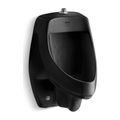 Product Image of Siphon-Jet Wall-Mount 0.5 Or 1.0 Gpf Urinal w/ Top Spud (Black/Black), K-5016-ET-7