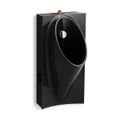 Product Image of Washout Half-Stall 0.125 Gpf Urinal, Top Spud (Black/Black), K-5244-ET-7