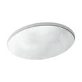Product Image of 19-1/4" Oval Undermount Bathroom Sink, No Overflow (White Sartorial Herringbone), K-14218-HD1-0