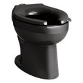 Product Image of Wellcomme Ultra Floor-Mount Top Spud Flushometer Bowl (Black), K-96053-7