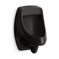 Product Image of Washout Half-Stall 0.125 Gpf Urinal, Rear Spud (Black/Black), K-5452-ER-7