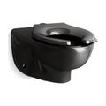 Product Image of Wall-Mount Top Spud Flushometer Bowl (Black/Black), K-84325-7