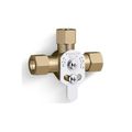 Product Image of Mechanical Mixing Valve (Rough Plate), K-24154-RP
