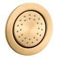 Product Image of Watertile Round 27-Nozzle Single-Function Body Spray, 1.0 Gpm (Vibrant Brushed Moderne Brass), K-77119-2MB
