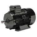 Product Image of Electric Motor - 7.5 HP, 230/460V, AMPH112MCA2-460