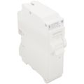 Product Image of 30A 1-Pole Standard Thermal Magnetic Branch Circuit Breaker (120/240V)