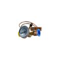 Product Image of 100679-53 Expansion Valve (20 Ton), 12U91