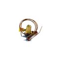 Product Image of 100679-54 Expansion Valve (15 Ton), 12U92