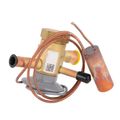 Product Image of 100679-09 Valve-Expansion, 33W95