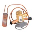 Product Image of 100679-08 Valve-Expansion, 33W97