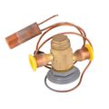 Product Image of 100679-25 Valve-Expansion (R410), 42W38